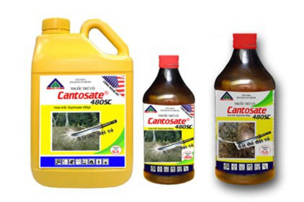 TSC: 19/3 chốt quyền chia thưởng và cổ tức bằng cổ phiếu, tổng tỷ lệ 67%