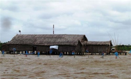 'Robinson' miền Tây làm giàu từ đầm hoang