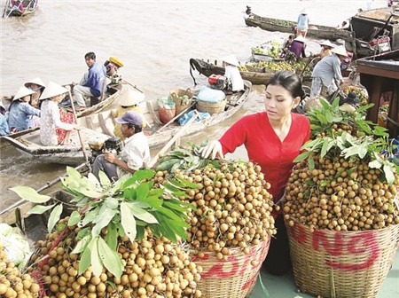 Thiếu chiến lược xây dựng thương hiệu nông sản Việt Nam