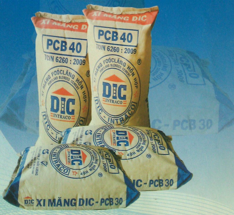 DIC: Chỉ phân phối được hơn 20% cho cổ đông, chào bán 5,96 triệu cổ phần cho 5 cá nhân