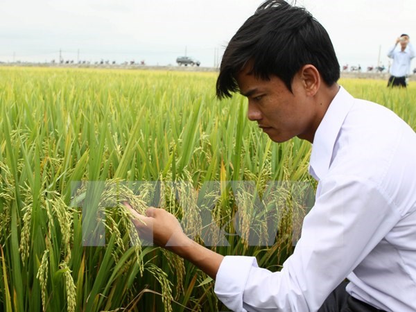 “Muốn nông nghiệp cạnh tranh thành công phải bắt đầu từ giống”