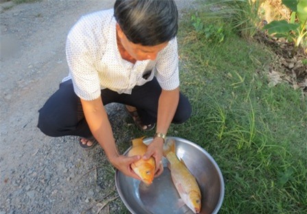 Lãi bộn với chiêu 