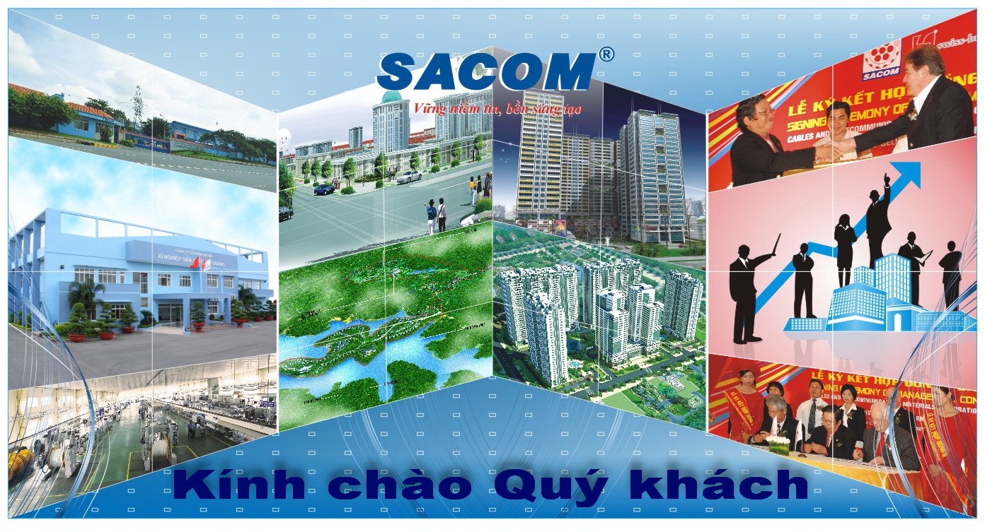 SAM chia cổ phiếu thưởng 6%, lên kế hoạch tái cấu trúc công ty