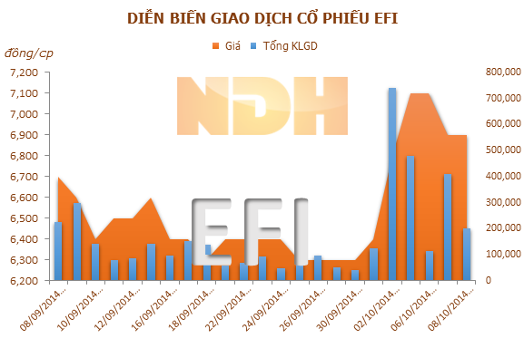 EFI: 9 tháng lãi 4,4 tỷ, điều chỉnh giảm gần một nửa kế hoạch cả năm