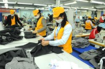 Việt Nam có thể chiếm 50% tổng giá trị thương mại nhân điều thế giới