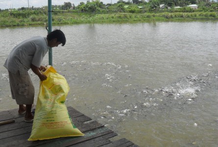 Vợ chồng TGĐ Nguyễn Quang Hiền đăng ký bán toàn bộ cổ phiếu VTF