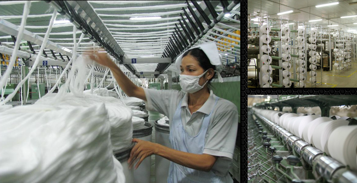 TNG gần cán đích lợi nhuận cả năm sau 11 tháng