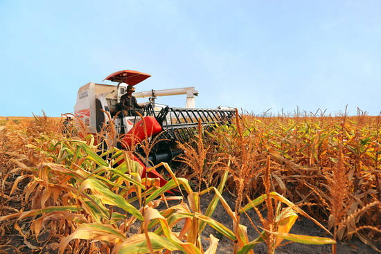 Hoàng Anh Gia Lai lên kế hoạch phát hành 10 triệu cổ phiếu ESOP, đặt kế hoạch lãi 2.100 tỷ đồng