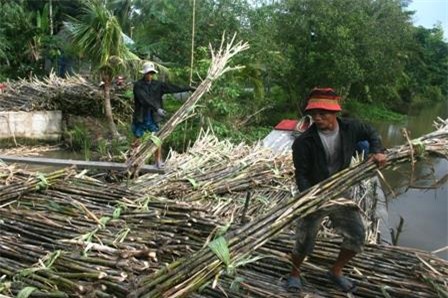 TS Trần Đình Thiên: Đừng đẩy mía đường tới đường cùng nhưng...