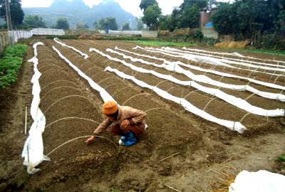 Ngân Sơn (NST): Cháy kho nguyên liệu thuốc lá tại Bắc Ninh