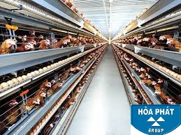Hòa Phát bất ngờ muốn bước chân sang nông nghiệp