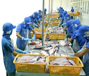 NGC đặt kế hoạch lãi hơn 4 tỷ đồng trong năm 2014