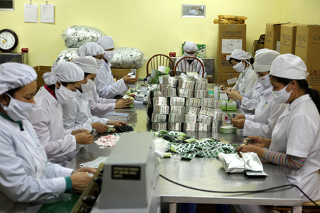 SJS gần như chắc chắn sẽ vượt kế hoạch năm 2014 nhờ chuyển nhượng dự án Nam An Khánh 