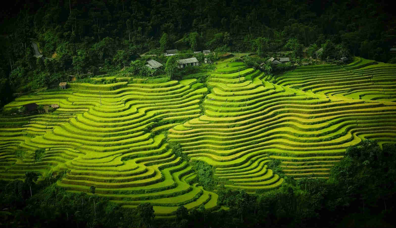 PAN: Miễn nhiệm Tổng Giám đốc