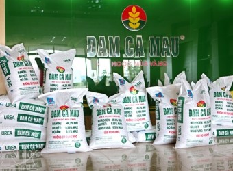 Đạm Cà Mau: Lỗ tỷ giá kéo lãi ròng quý III giảm còn 13,8  tỷ đồng