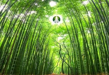 GTN: Lãi sau thuế hợp nhất gần 91 tỷ đồng, gấp 3,8 lần năm trước