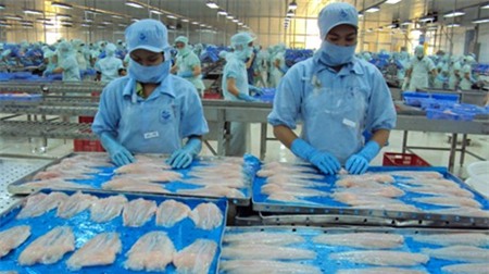 DN cá tra trước lựa chọn nghiệt ngã