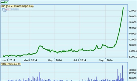 RIC: Quý 3 ước lỗ 37 tỷ đồng, cổ phiếu vẫn tăng trần 12 phiên