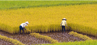 PAN: SSIAM đăng ký mua thêm 4,54 triệu cổ phiếu