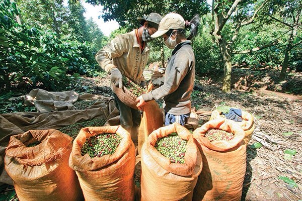 Dễ bị kiện tại Mỹ