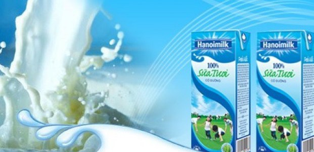 Công ty thực phẩm Indonesia muốn mua 90-100% cổ phần Hanoimilk?