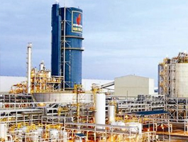 CNG: LNST 2015 ước chỉ giảm nhẹ khoảng 1% so với năm trước