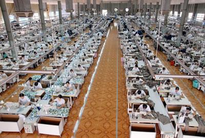 TNG: LNST 2015 có thể đạt khoảng 85 - 90 tỷ đồng