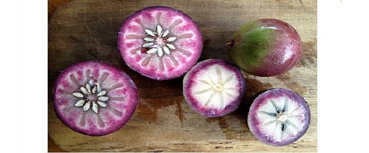 APC mua 190.250 cổ phiếu quỹ từ NLĐthôi việc, giá mua 10.000 đồng/CP