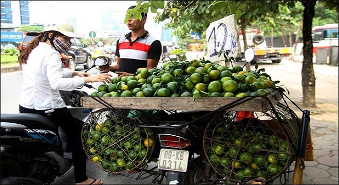  Cam Trung Quốc “nhái” cam Việt Nam tràn ngập thị trường 