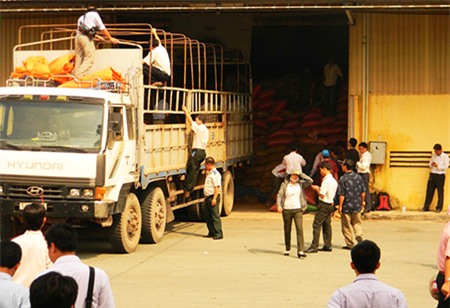 Vụ kho cà phê cầm cố cho 7 ngân hàng: 