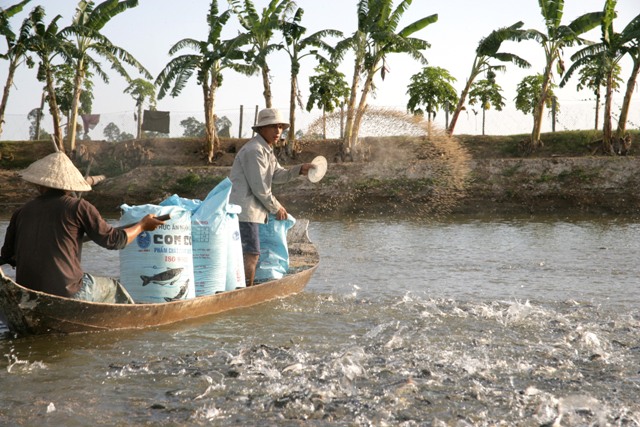 9 tháng, sản lượng khai thác và nuôi trồng thủy sản đều tăng