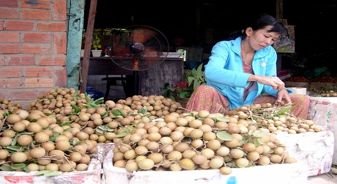  Cuối năm sẽ xuất nhãn sang Mỹ 