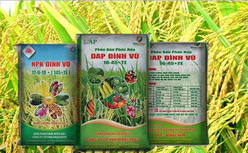 VIX bán 888.250 cổ phiếu QBS, không còn là cổ đông lớn từ ngày 26/11
