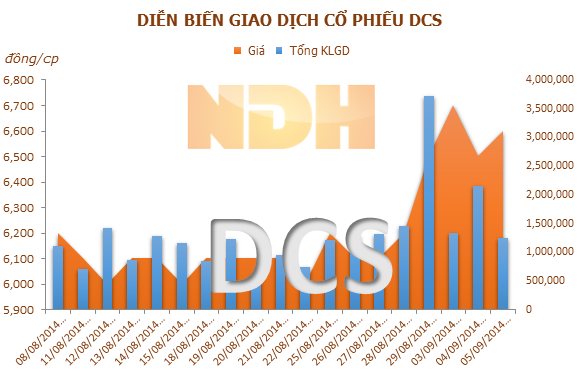 DCS: KQKD không bị ảnh hưởng mặc dù công ty liên kết chưa cung cấp BCTC 