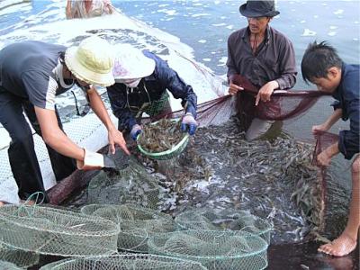 CMX: Quý IV/2014 lãi ròng gần 7 tỷ đồng, gấp 4 lần cùng kỳ