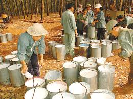 DPR: Giá bán tháng 11 tăng nhẹ,  xin ý kiến cổ đông giảm kế hoạch lợi nhuận