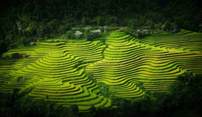 PAN lên kế hoạch thành lập công ty thực phẩm vốn điều lệ 100 tỷ đồng