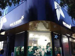 Bắc Á Bank sẽ chào bán riêng lẻ cổ phiếu, tăng vốn lên 4.400 tỷ đồng
