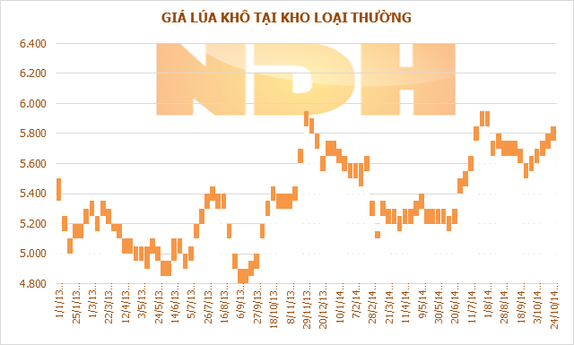 Tuần 24-30/10: Giá lúa gạo tại ĐBSCL đồng loạt tăng nhẹ