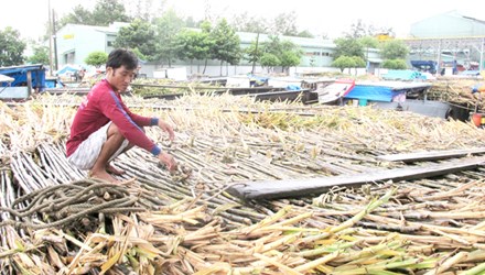 Đề xuất nhập 50.000 tấn đường thuế 0%: Cần ưu tiên quyền lợi số đông