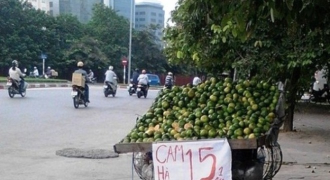  Mạo danh cam Hà Giang bày bán tại Hà Nội 