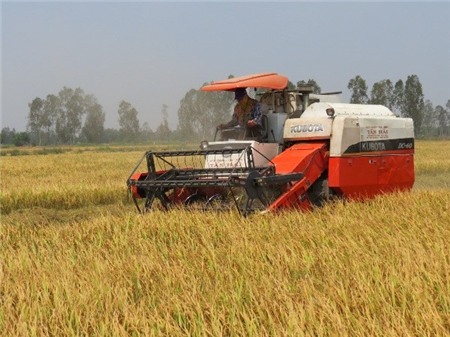 Nhiều giải pháp “cởi trói” để tăng tín dụng nông nghiệp nông thôn