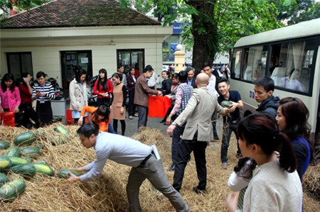 Mong manh 'sợi dây' liên kết tiêu thụ nông sản