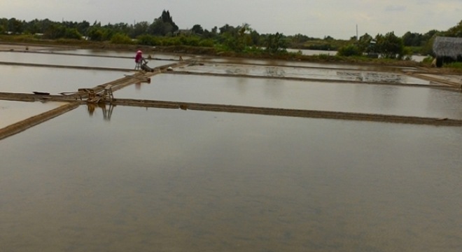  Phấn khởi vào vụ muối 