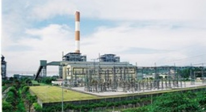  Nhiệt điện Phả Lại tạm ứng cổ tức tỷ lệ 8% bằng tiền mặt 