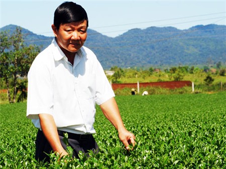 Từ làm thuê thành tỉ phú chè Ô Long